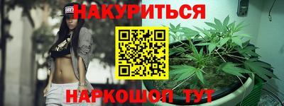крисы Новозыбков