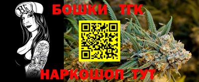 крисы Новозыбков