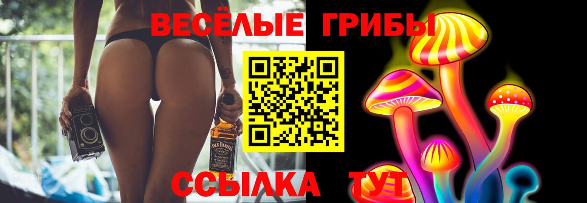 Псилоцибиновые грибы мицелий Тайшет